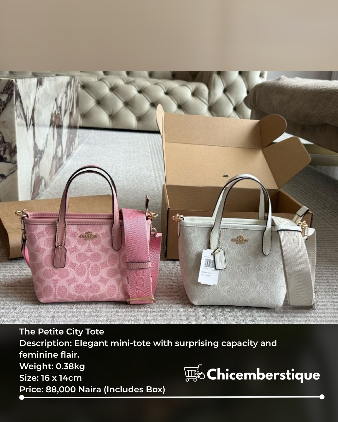 The Petite City Tote